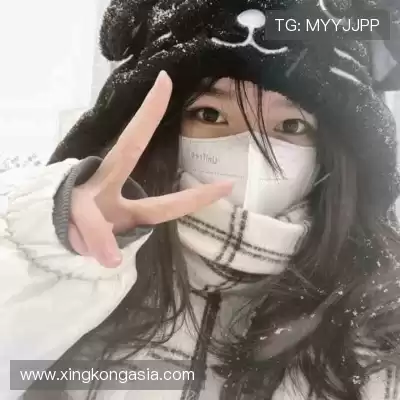 董治鹤